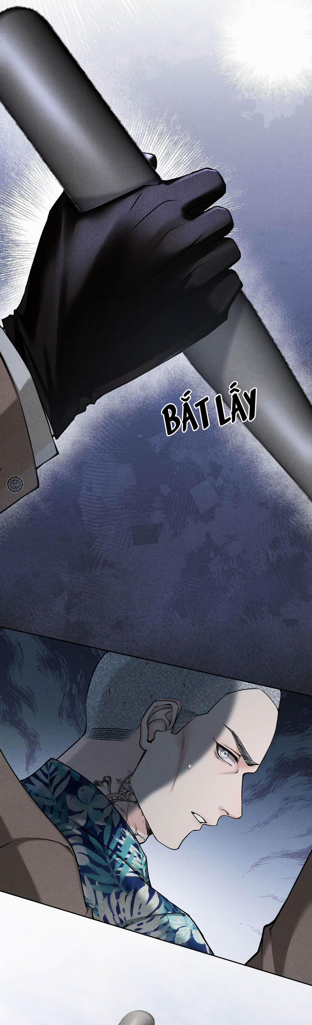 Lông Vũ Ngược Sáng 11 trang 20