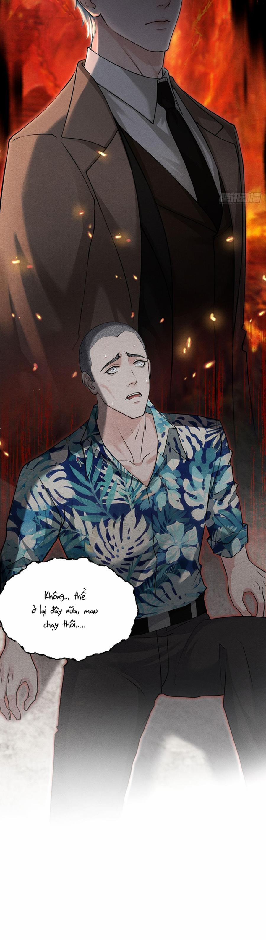 Lông Vũ Ngược Sáng 12 trang 2