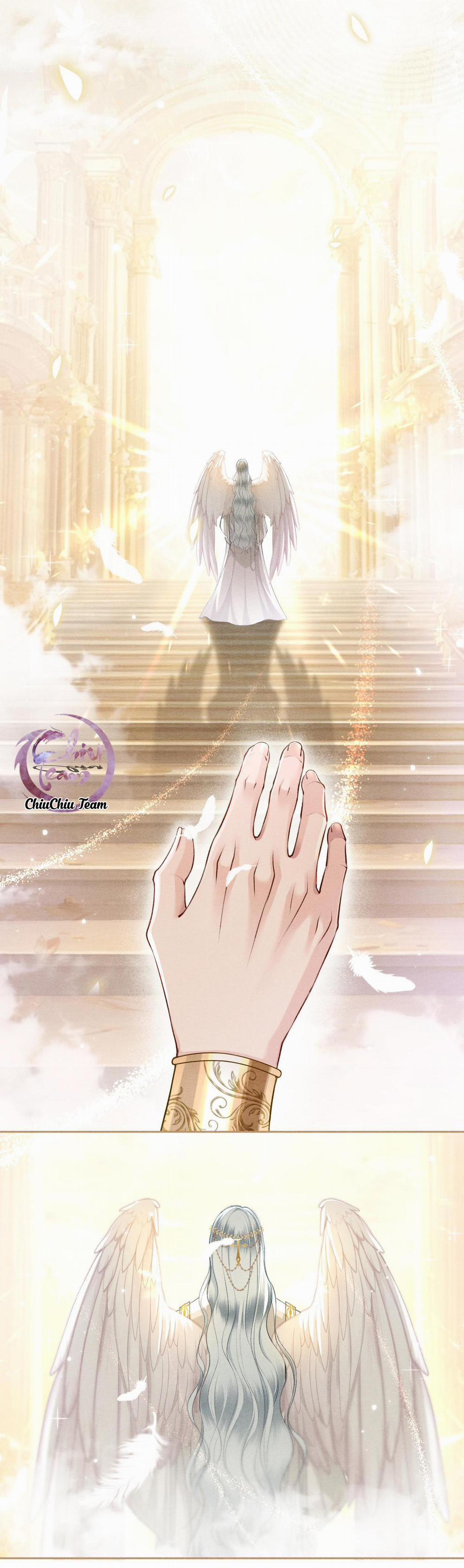 Lông Vũ Ngược Sáng 13 trang 1