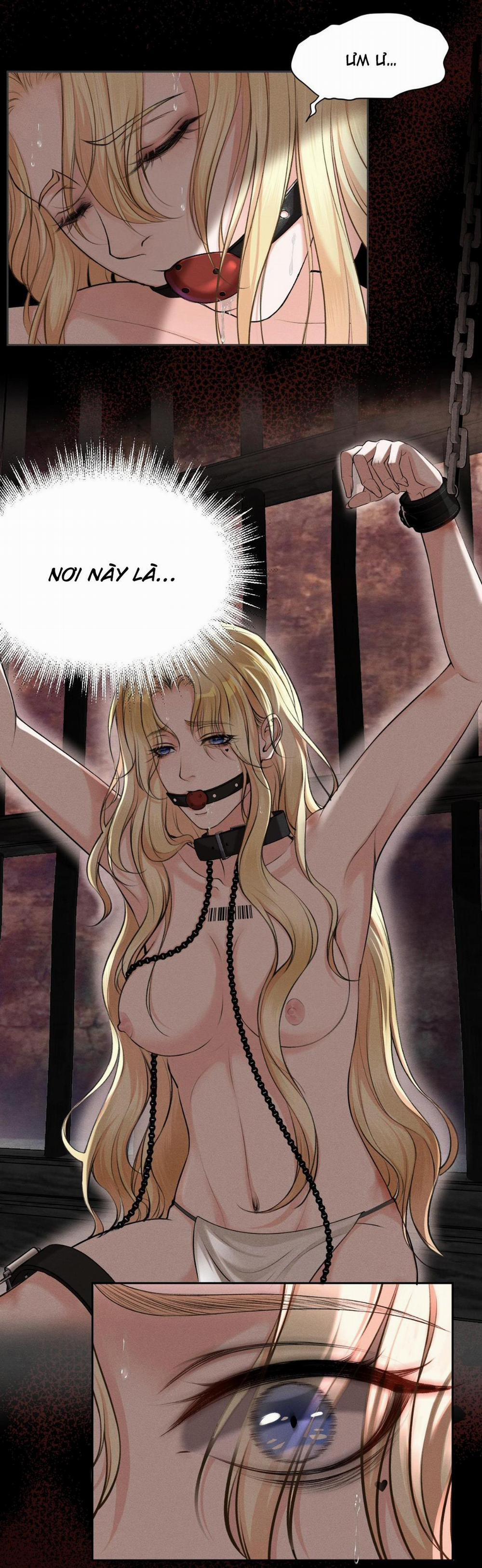 Lông Vũ Ngược Sáng 15 trang 2