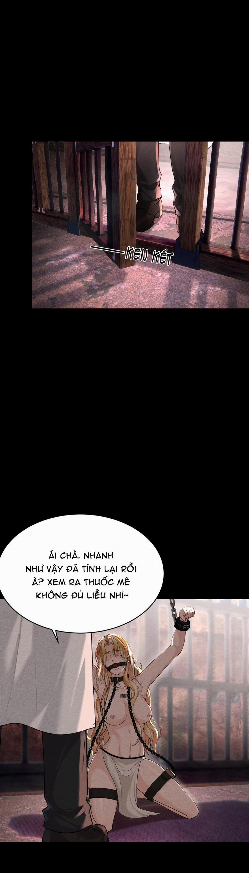 Lông Vũ Ngược Sáng 15 trang 4