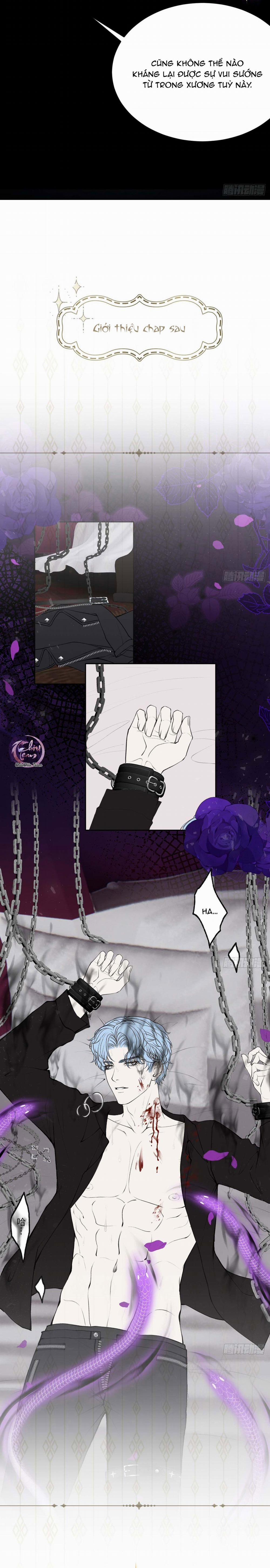 Lông Vũ Ngược Sáng 17 trang 11