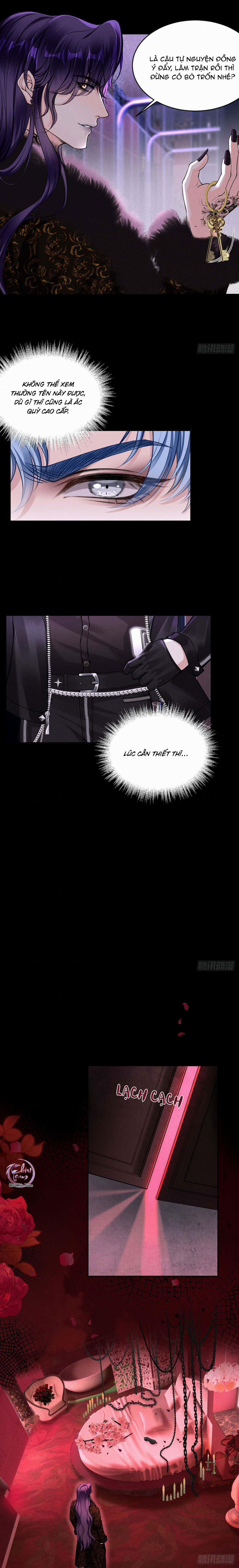 Lông Vũ Ngược Sáng 17 trang 3