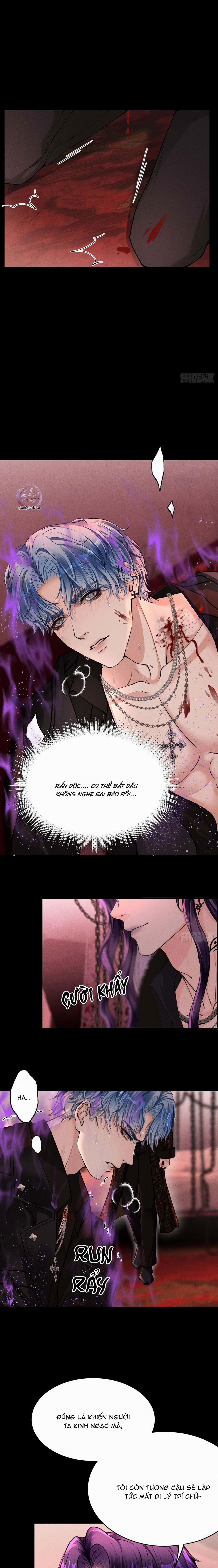 Lông Vũ Ngược Sáng 17 trang 8