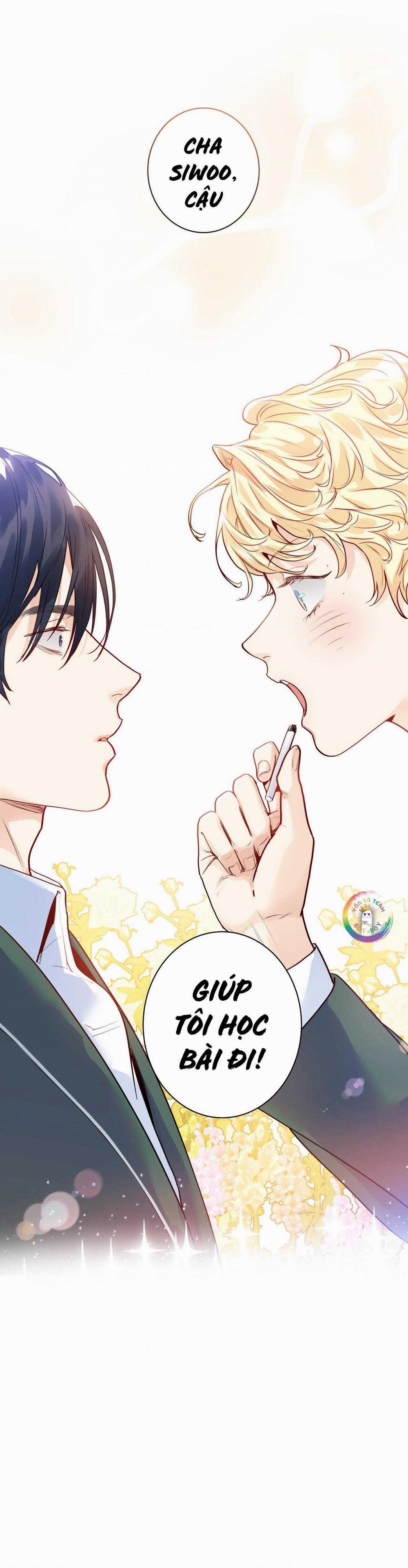 Love Is An Illusion! Superstar 11 trang 1