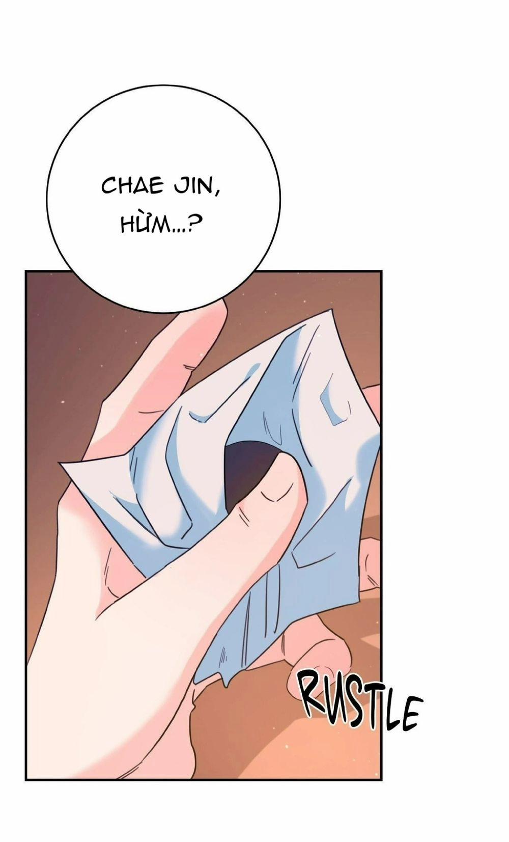 Lửa, Hoa, Mộng 21 trang 41