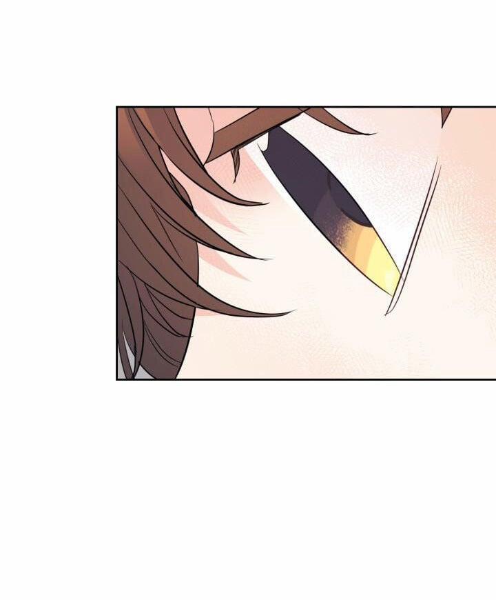 Luật Của Tiểu Thuyết Mạng 187.2 trang 15