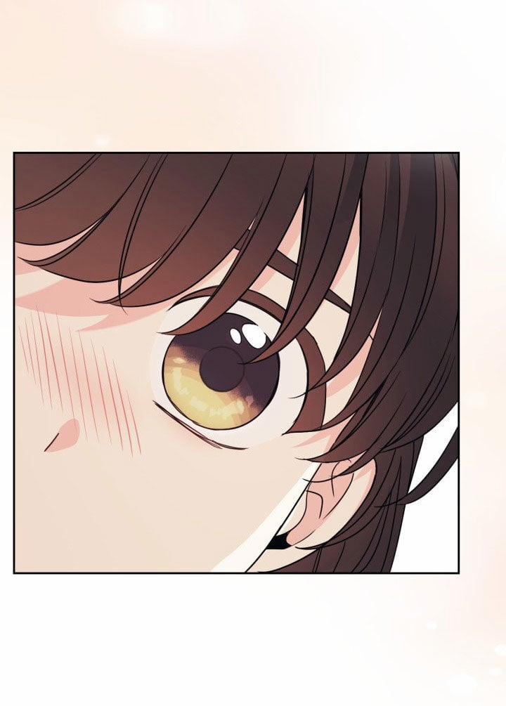 Luật Của Tiểu Thuyết Mạng 205.1 trang 1