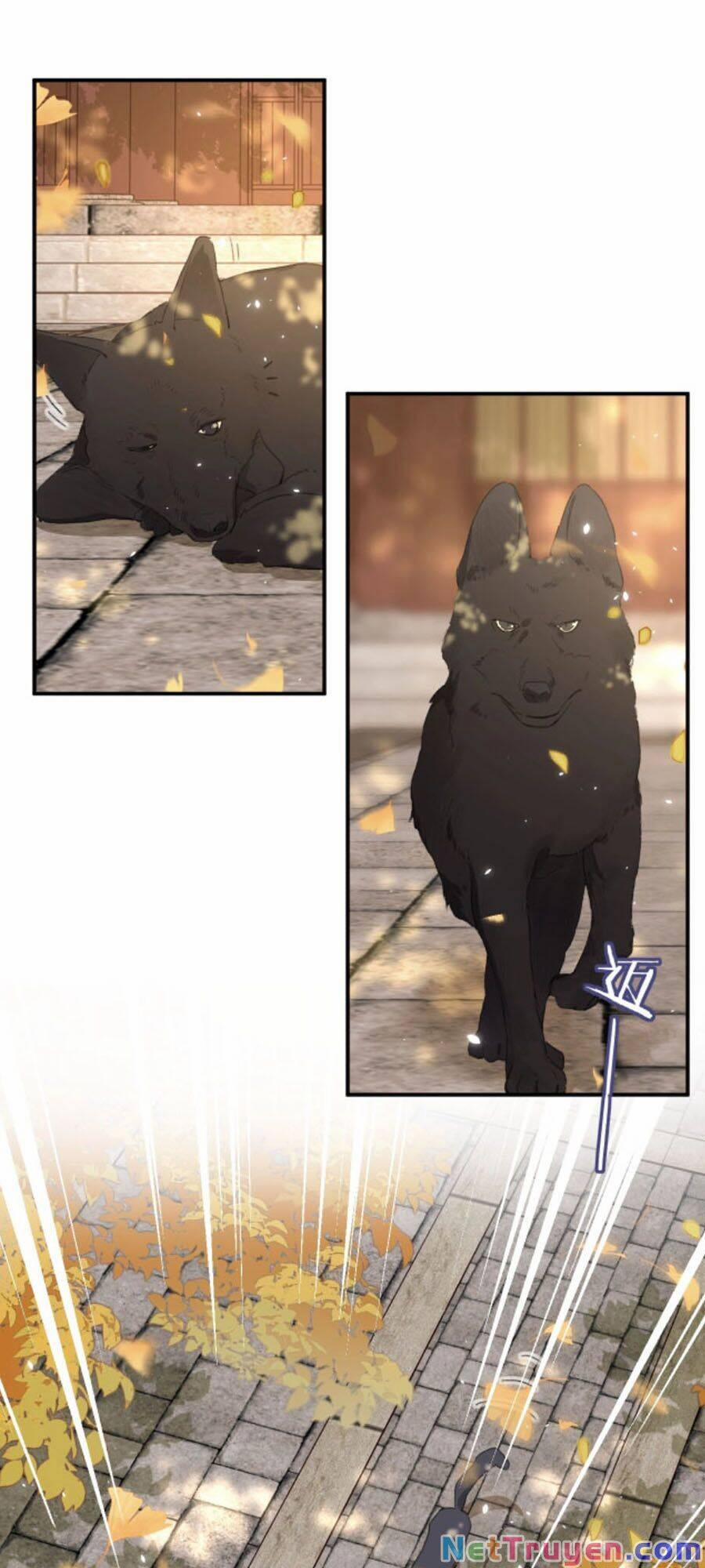 Lui Lui Lui Ra 18 trang 16