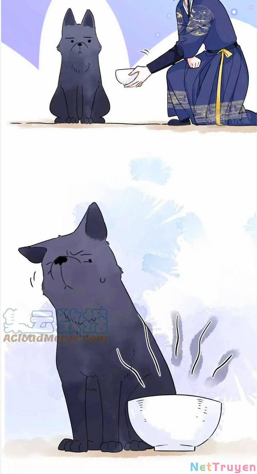 Lui Lui Lui Ra 75 trang 24