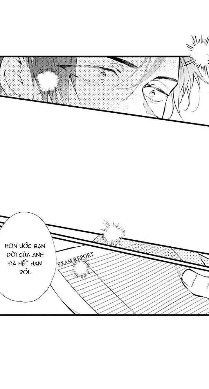 Ly Hôn Đi, Hỡi Ngài Alpha 11 trang 22