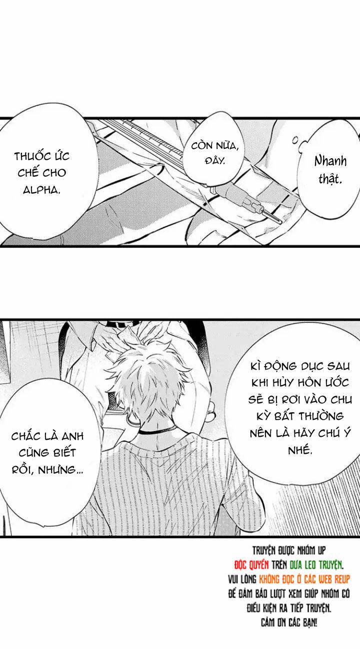 Ly Hôn Đi, Hỡi Ngài Alpha 11 trang 25