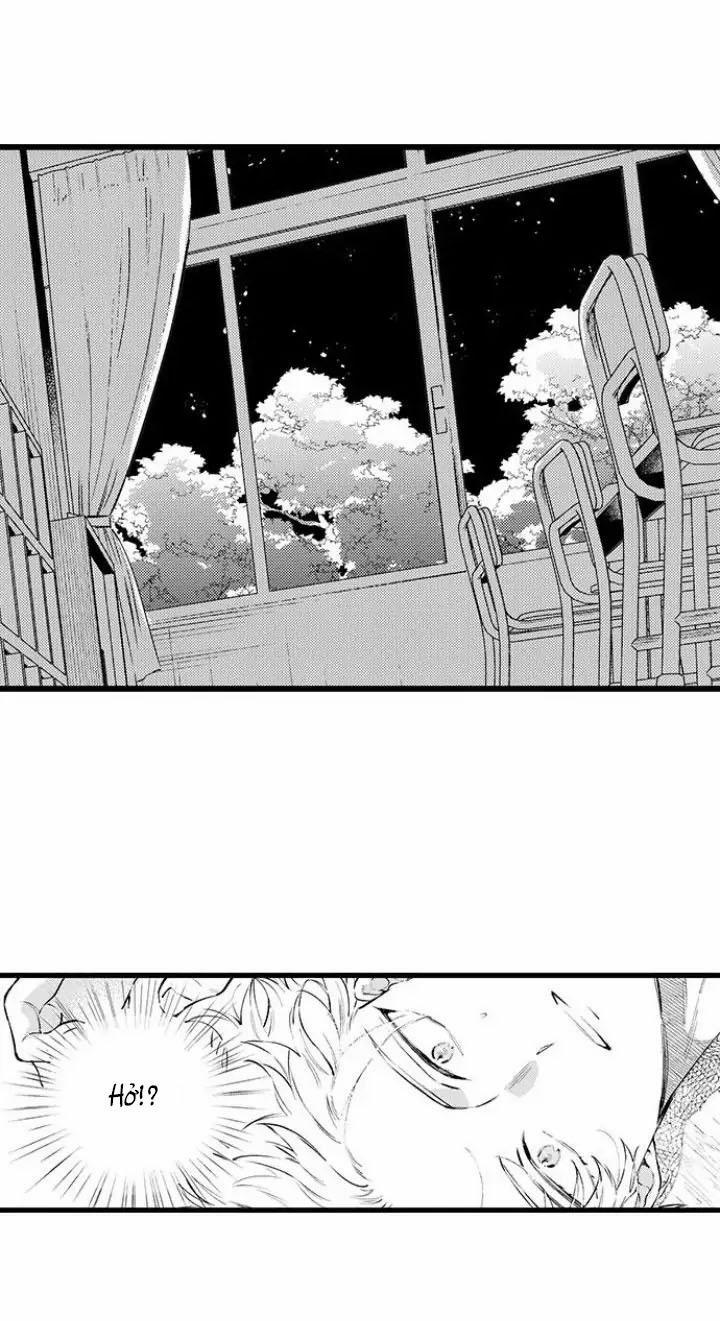 Ly Hôn Đi, Hỡi Ngài Alpha 12 trang 23