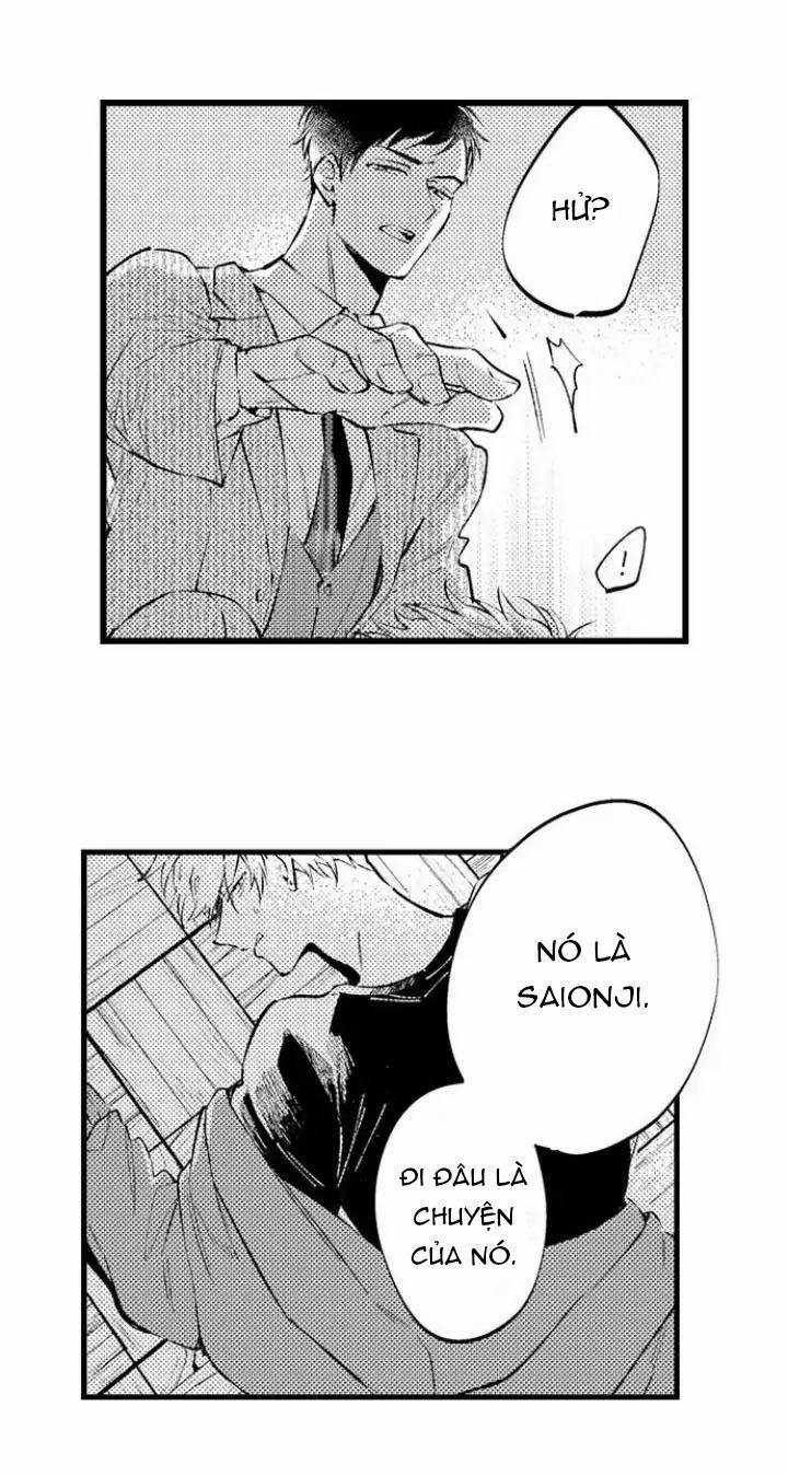 Ly Hôn Đi, Hỡi Ngài Alpha 13 trang 8
