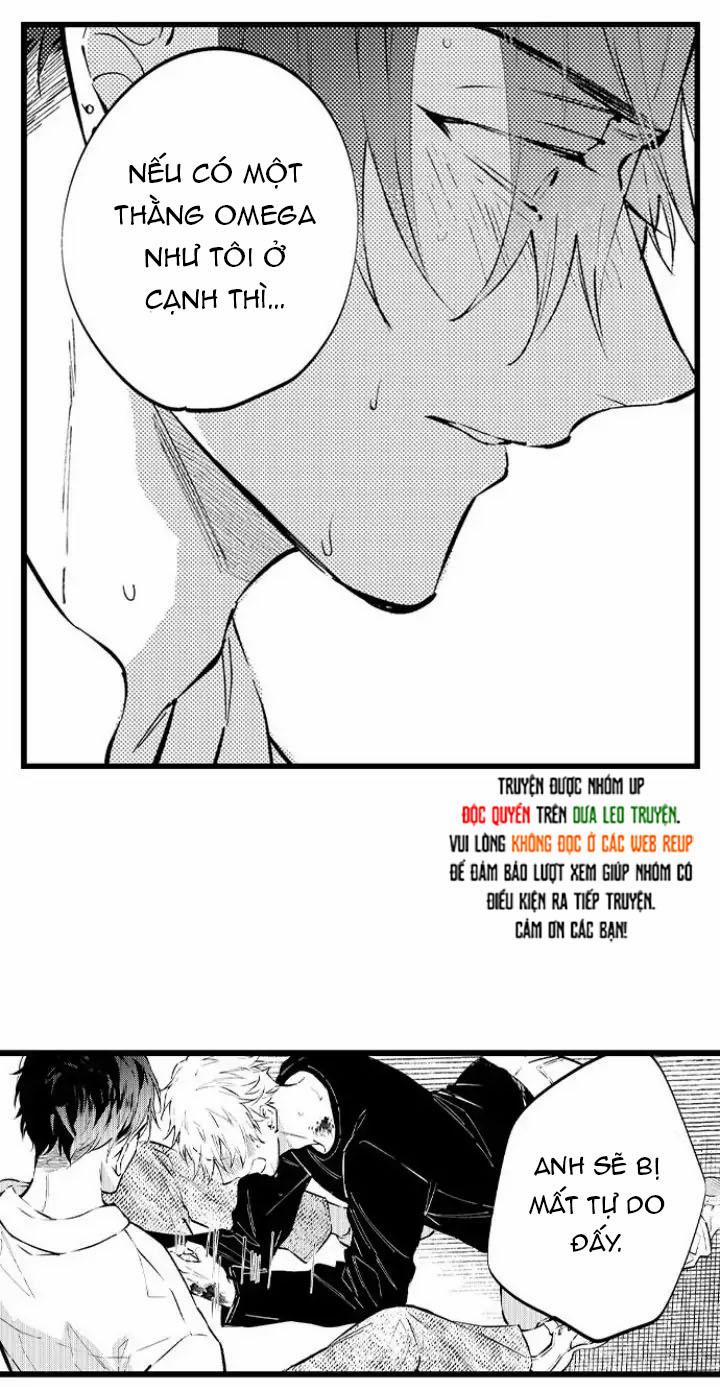 Ly Hôn Đi, Hỡi Ngài Alpha 15 trang 1