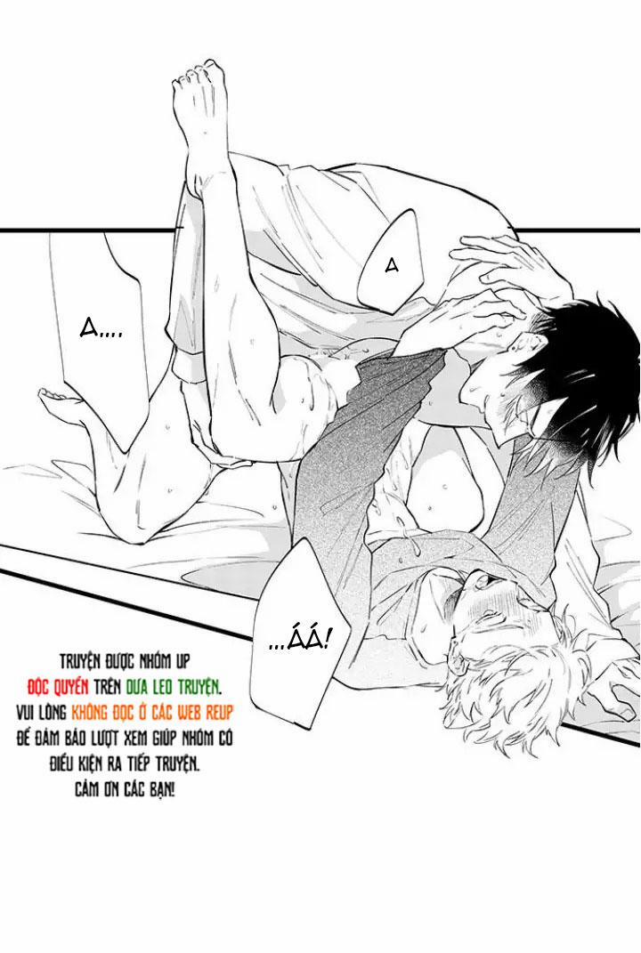 Ly Hôn Đi, Hỡi Ngài Alpha 16 trang 13