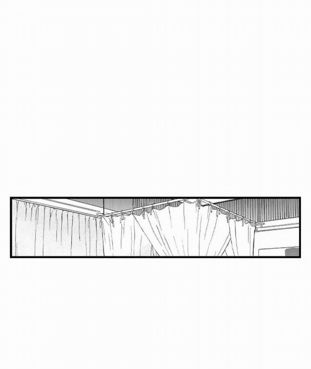 Ly Hôn Đi, Hỡi Ngài Alpha 18 trang 12