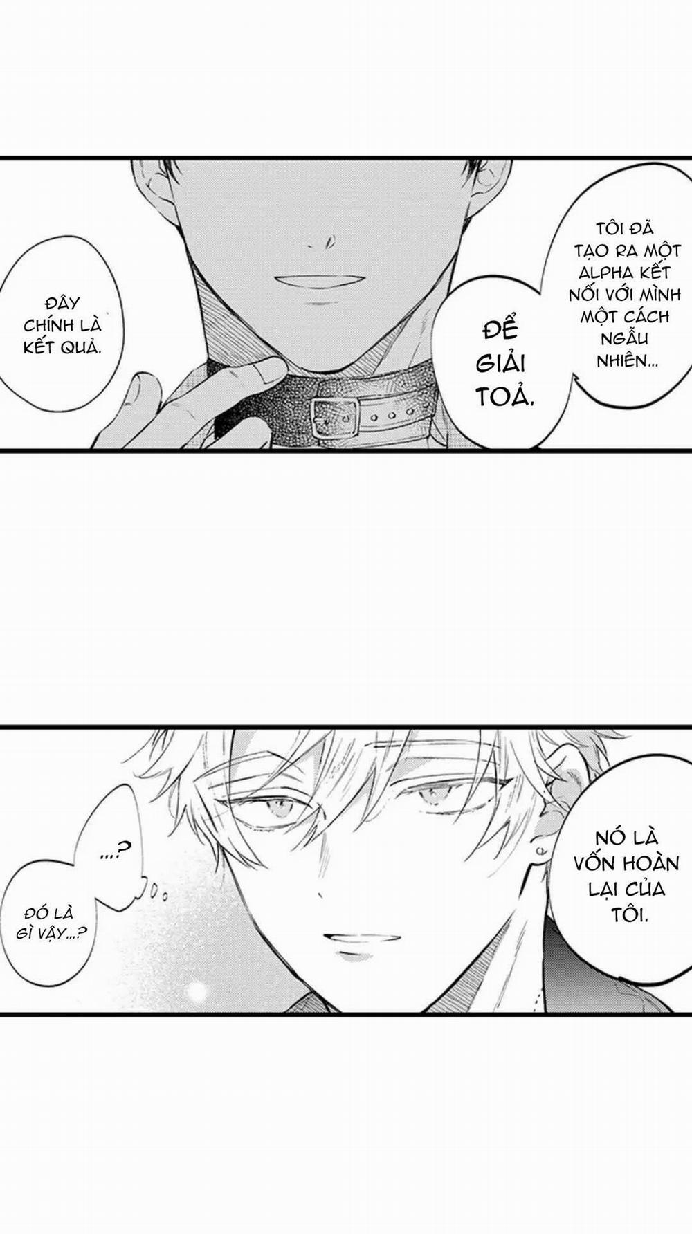 Ly Hôn Đi, Hỡi Ngài Alpha 24 trang 11