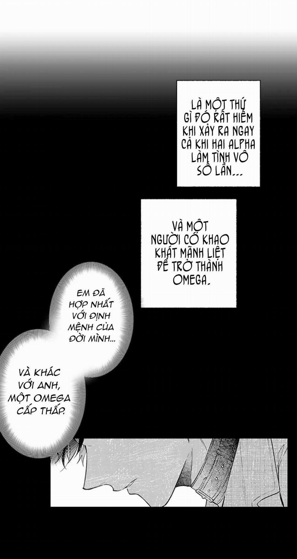 Ly Hôn Đi, Hỡi Ngài Alpha 24 trang 19