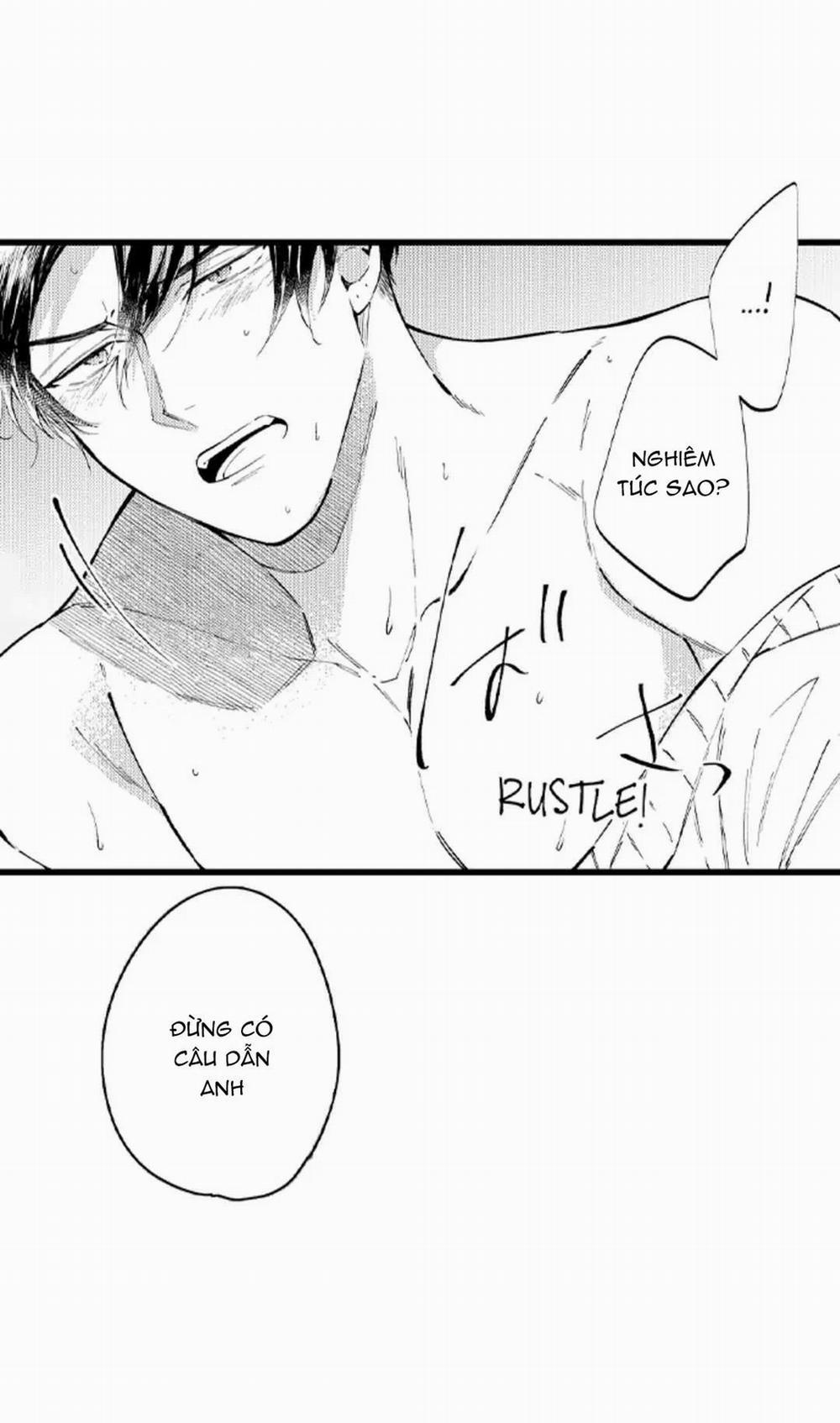 Ly Hôn Đi, Hỡi Ngài Alpha 26 trang 15