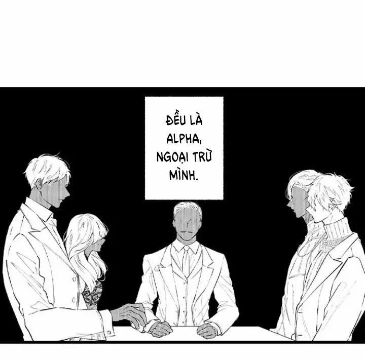 Ly Hôn Đi, Hỡi Ngài Alpha 6 trang 21