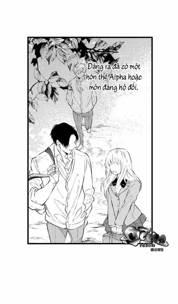 Ly Hôn Đi, Hỡi Ngài Alpha 6 trang 25