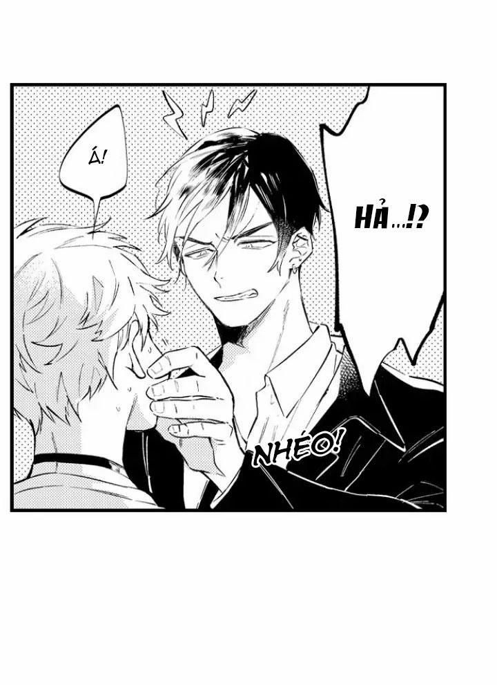 Ly Hôn Đi, Hỡi Ngài Alpha 6 trang 7