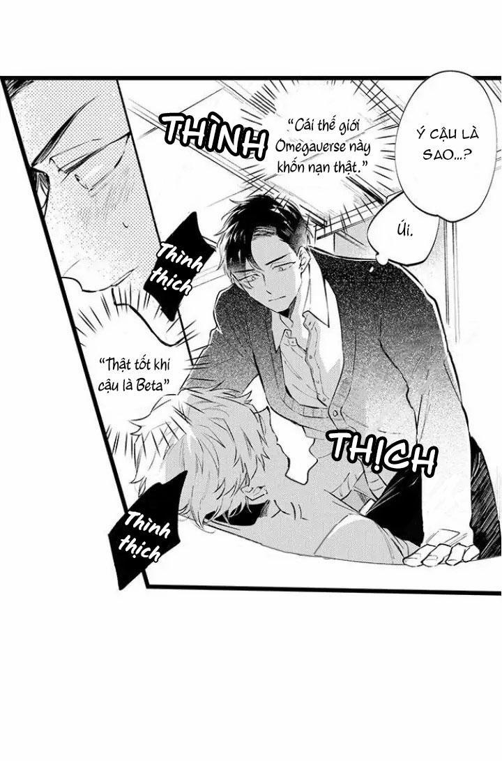 Ly Hôn Đi, Hỡi Ngài Alpha 9 trang 19