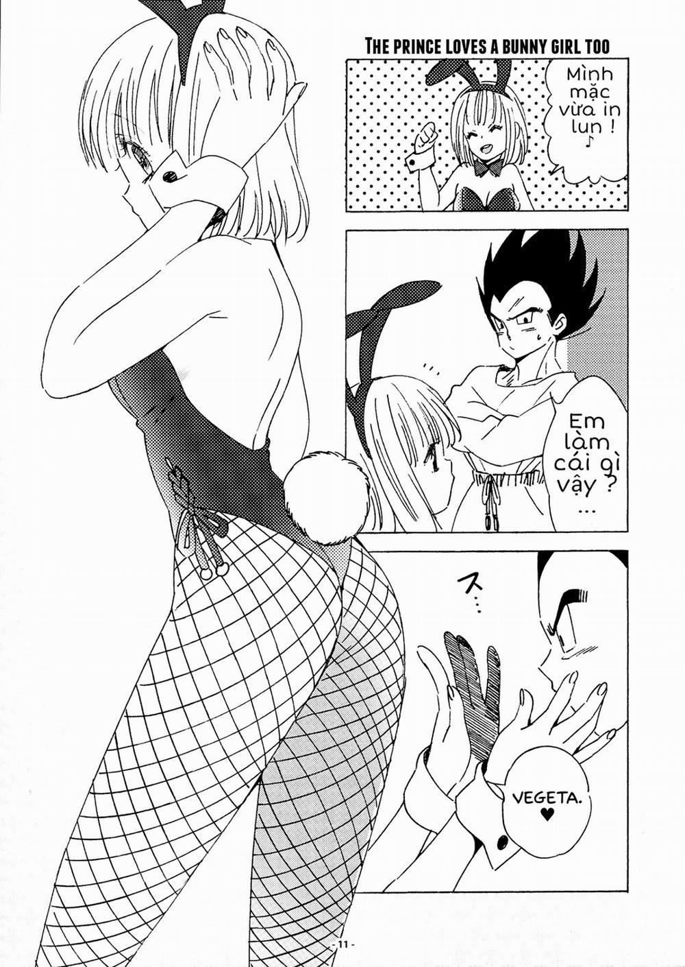 Mặc thử (Dragon Ball) Chương Oneshot Trang 11