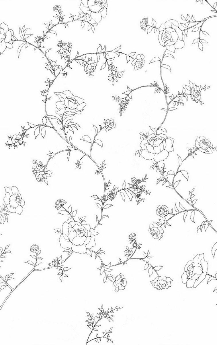 Madame Petit 13 trang 2