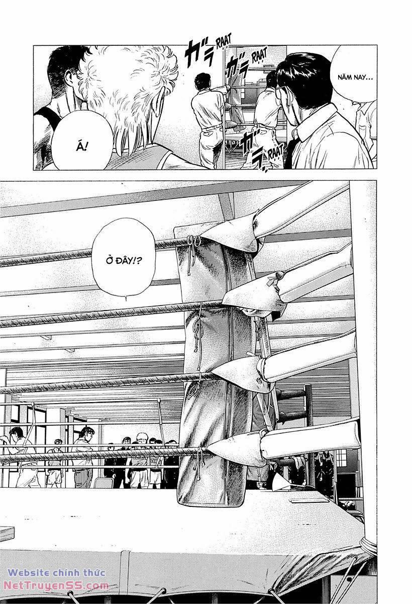 Maeda Taison Blues 215 trang 5