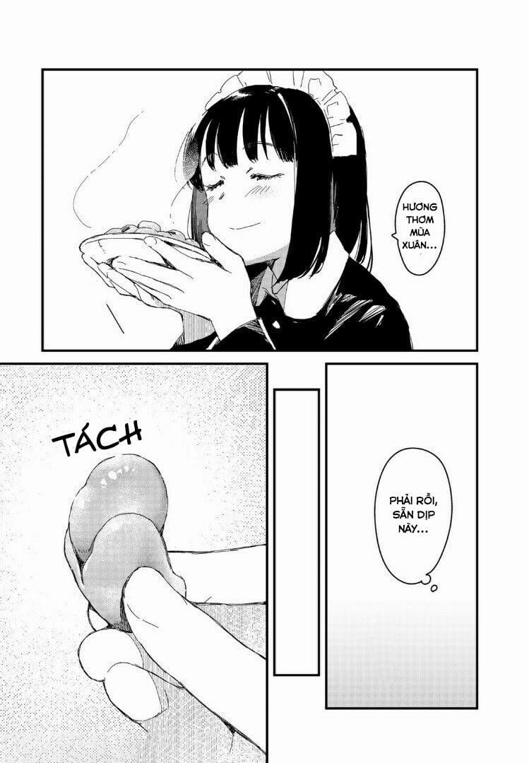 Maid-San Wa Taberu Dake 0 Đậu Dâu Tằm trang 12