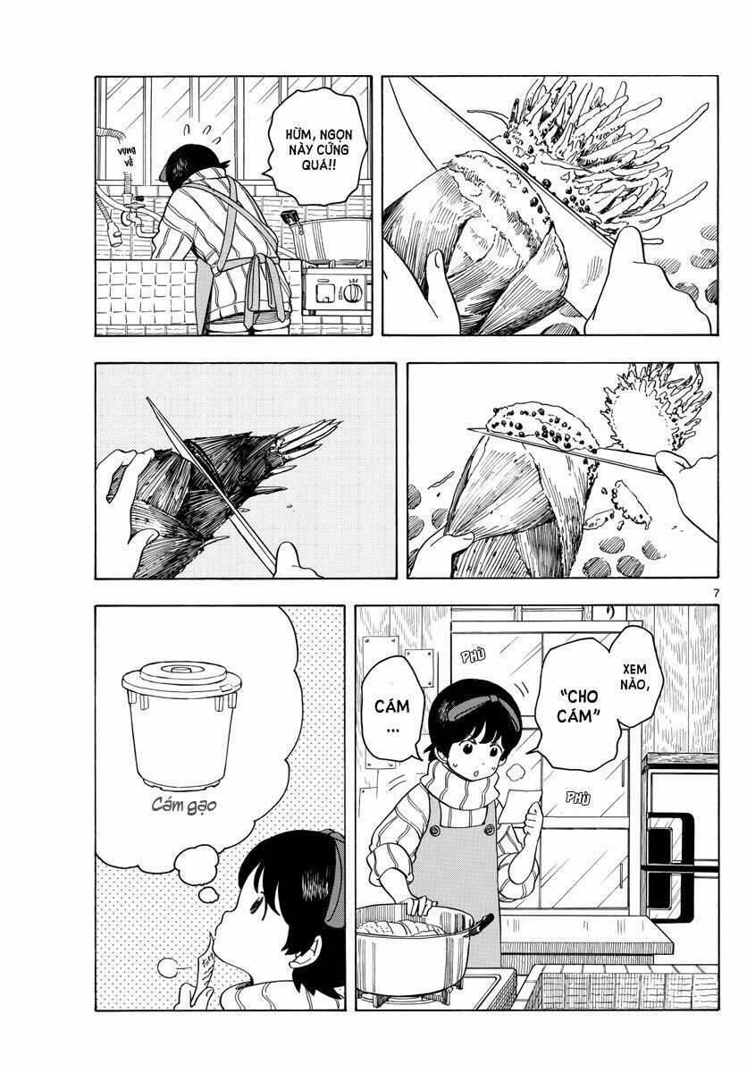 Maiko-San Chi No Makanai-San 73 trang 5