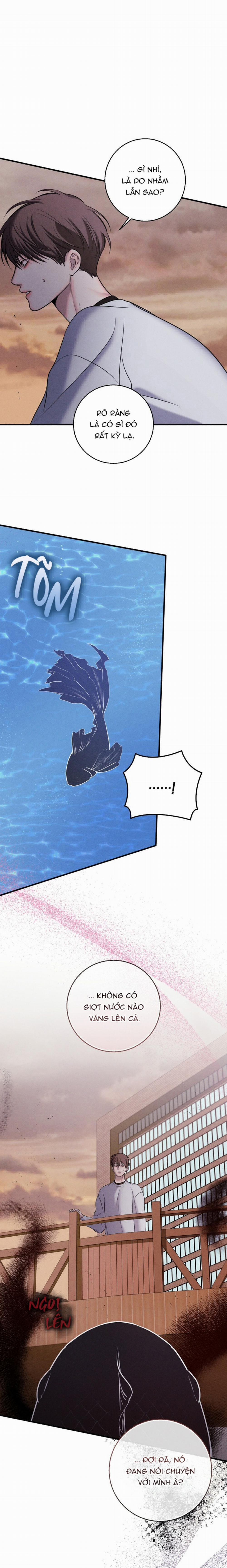 Màn Đêm Bất Tận 22 trang 20