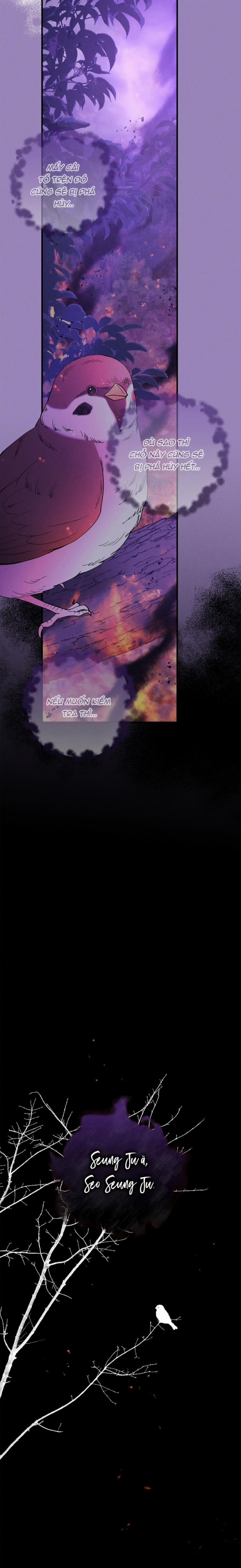 Màn Đêm Bất Tận 37 trang 20