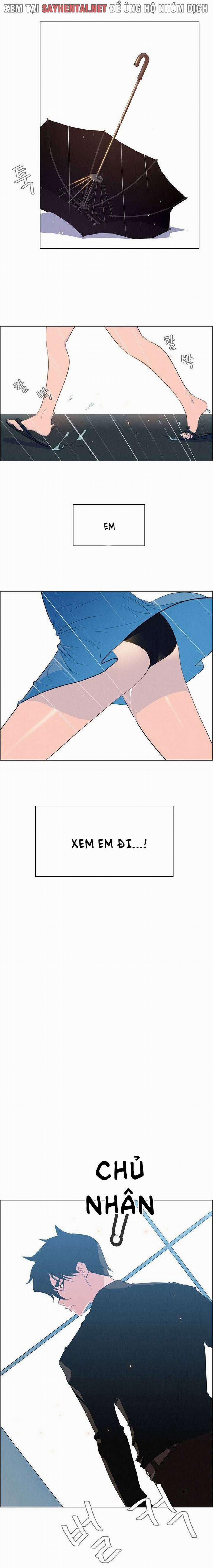 Màn Mưa 49 trang 6