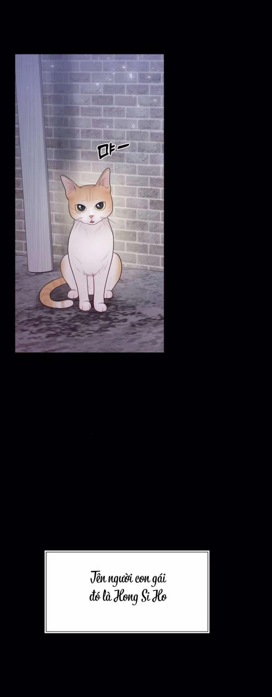 Mang Thai, Chiếm Đoạt 13 trang 11