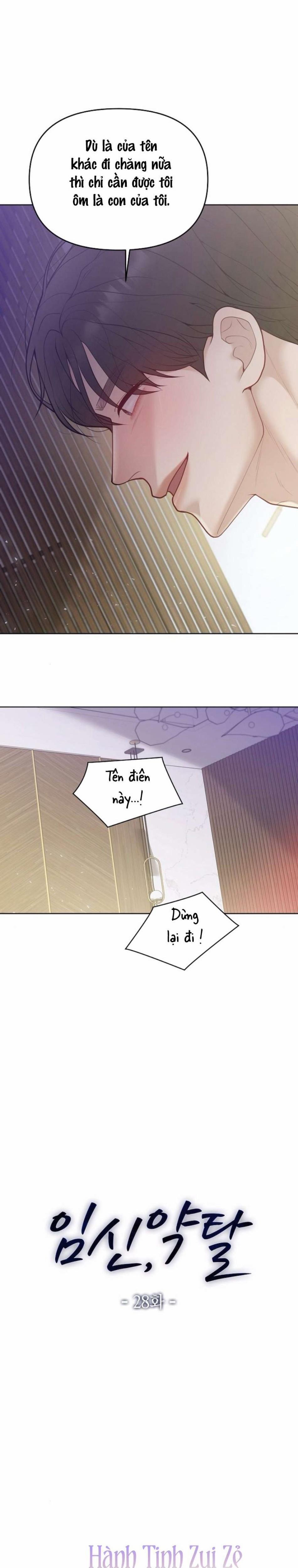 Mang Thai, Chiếm Đoạt 28 trang 5