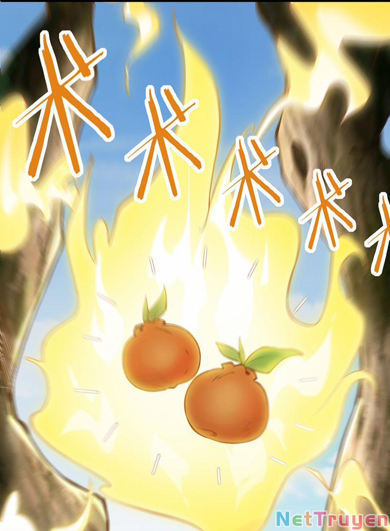 Mang Theo Các Tiên Tử Vô Địch Thiên Hạ 9 trang 15