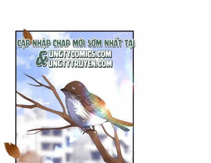 Mạnh Mẽ Công Chiếm 23 trang 1