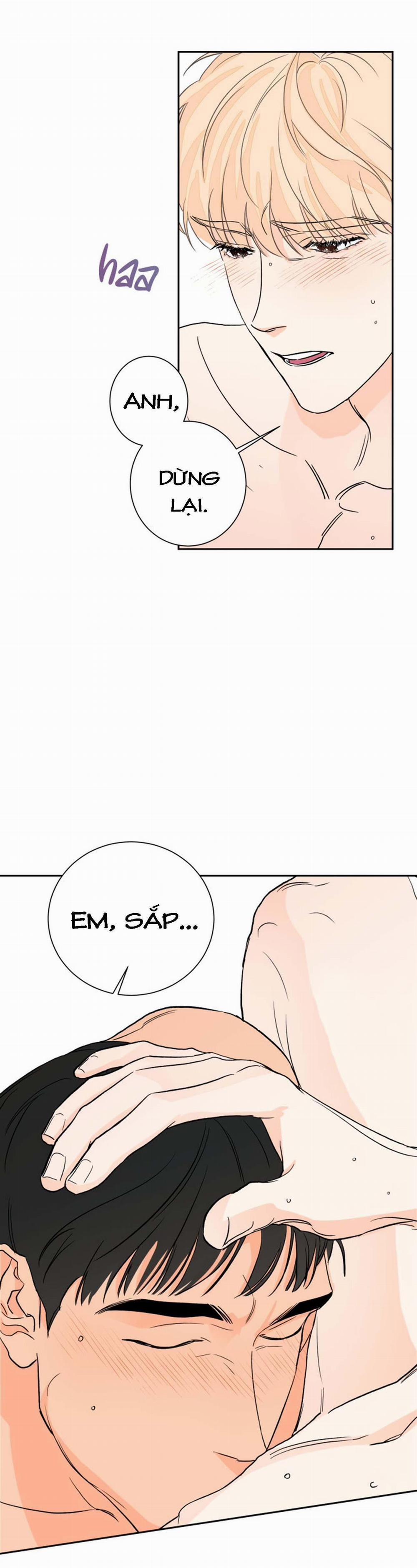 Manhwa Chịch Vồn Chịch Vã 3 trang 28