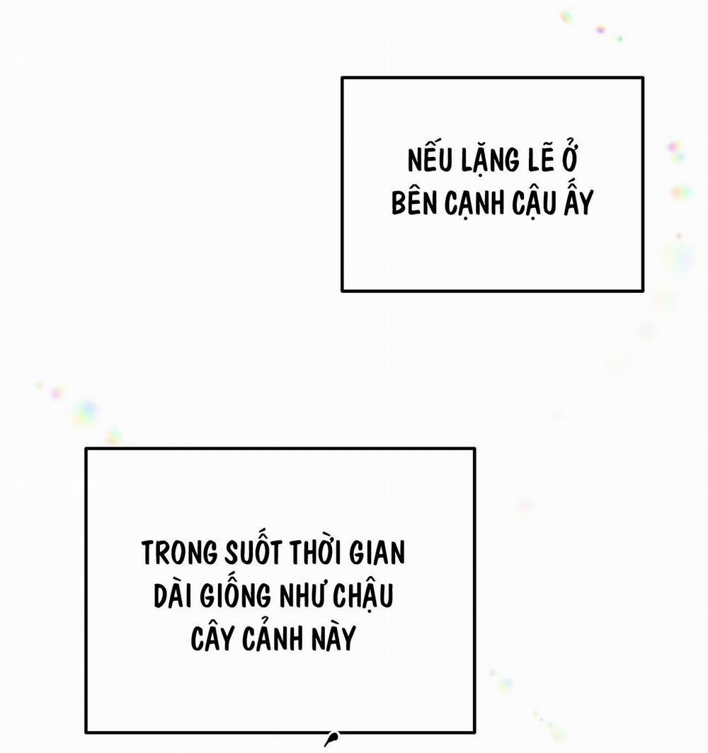 Mật Gấu Chương 52 Trang 4