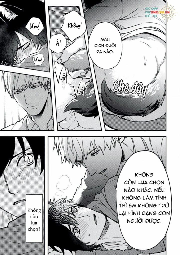 Mật Ngọt Dã Thú 2 trang 17