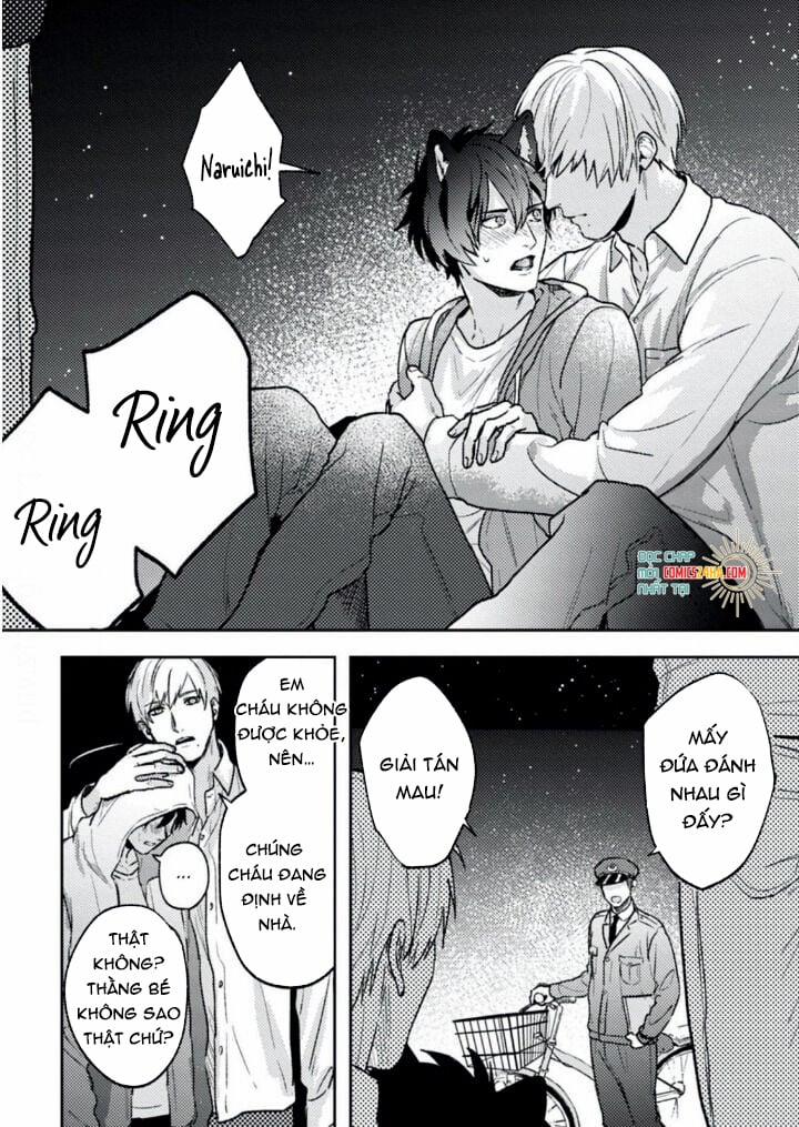 Mật Ngọt Dã Thú 2 trang 2