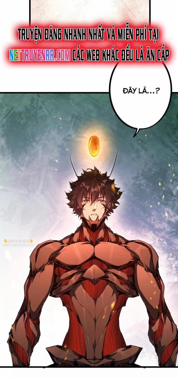 Mạt Thế Cẩu Sinh: Gián Giúp Ta Chồng Buff 25 trang 14