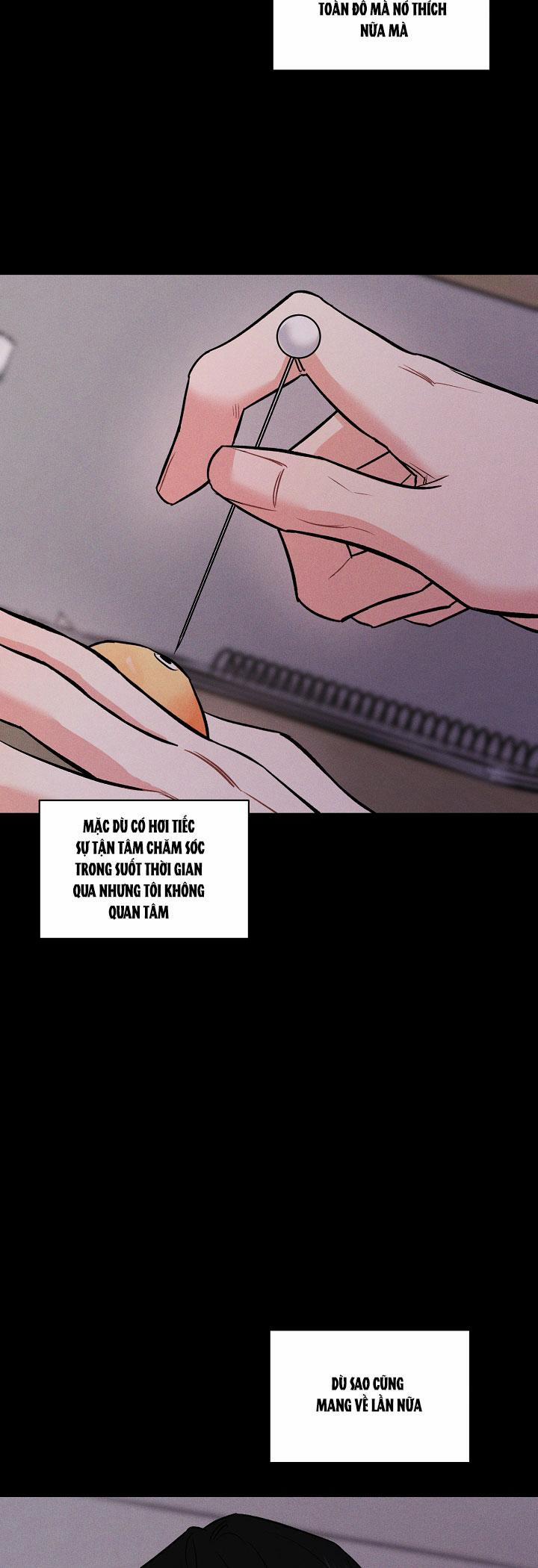 Mặt Trời Của Đêm 15 trang 35