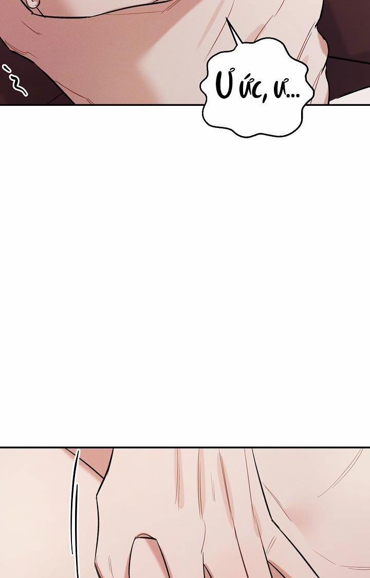 Mặt Trời Của Đêm 6 trang 7