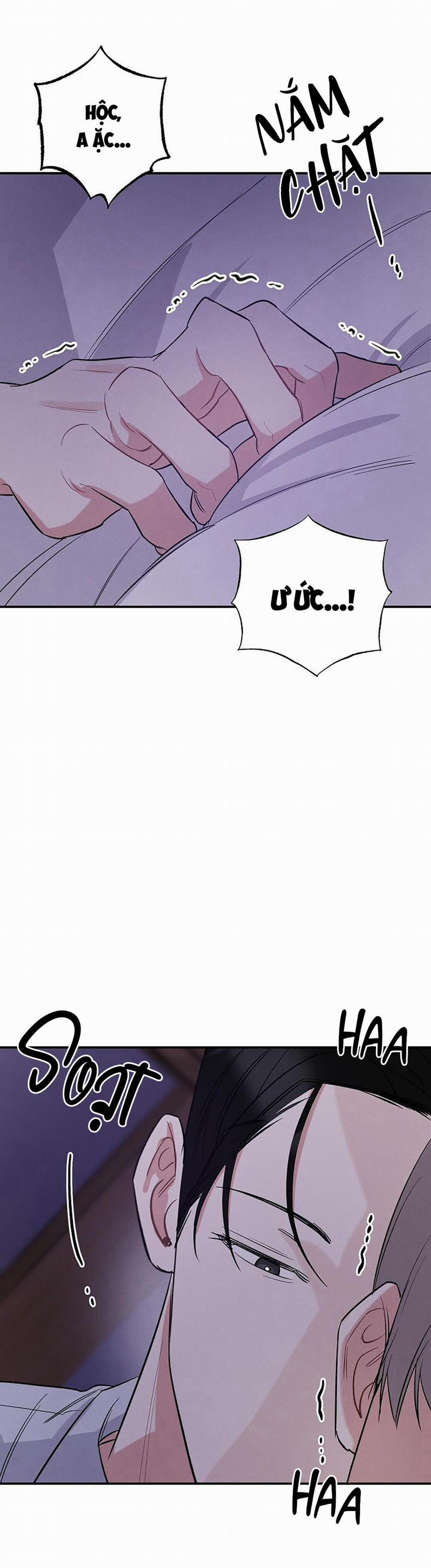 Mặt Trời Của Đêm 8 trang 13