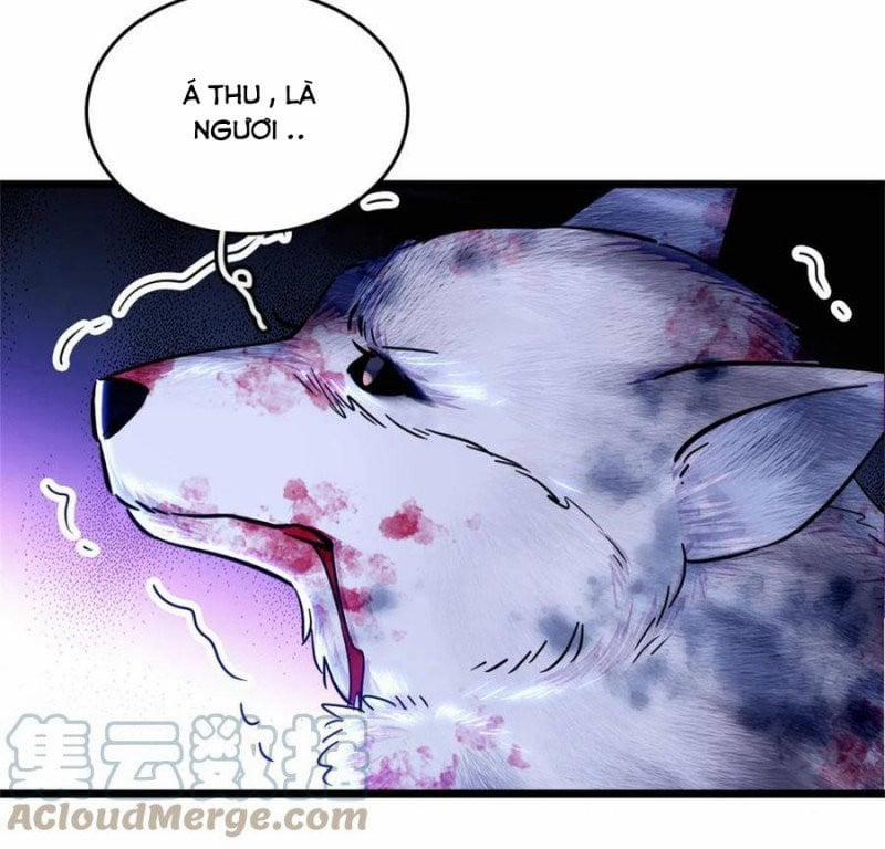 Mau Chạy !! Nam Thần Thú Thế Đến Truy Thê 106 trang 10