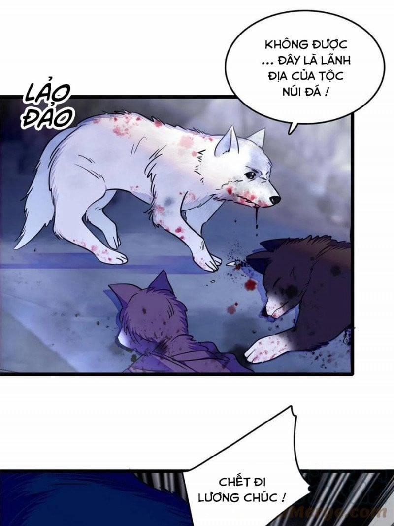 Mau Chạy !! Nam Thần Thú Thế Đến Truy Thê 106 trang 7